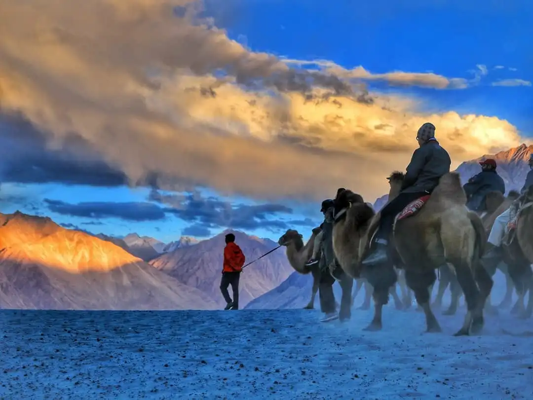 Nubra-Valley-ladakh.webp