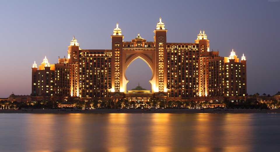 the-palm-962785_960_720_20190929183908.jpg